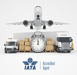 Iata kargo acentesi